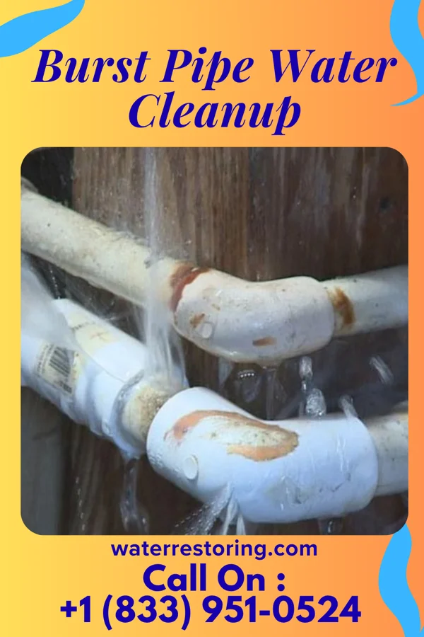 Burst Pipe Water Cleanup in St. Paul, MN
