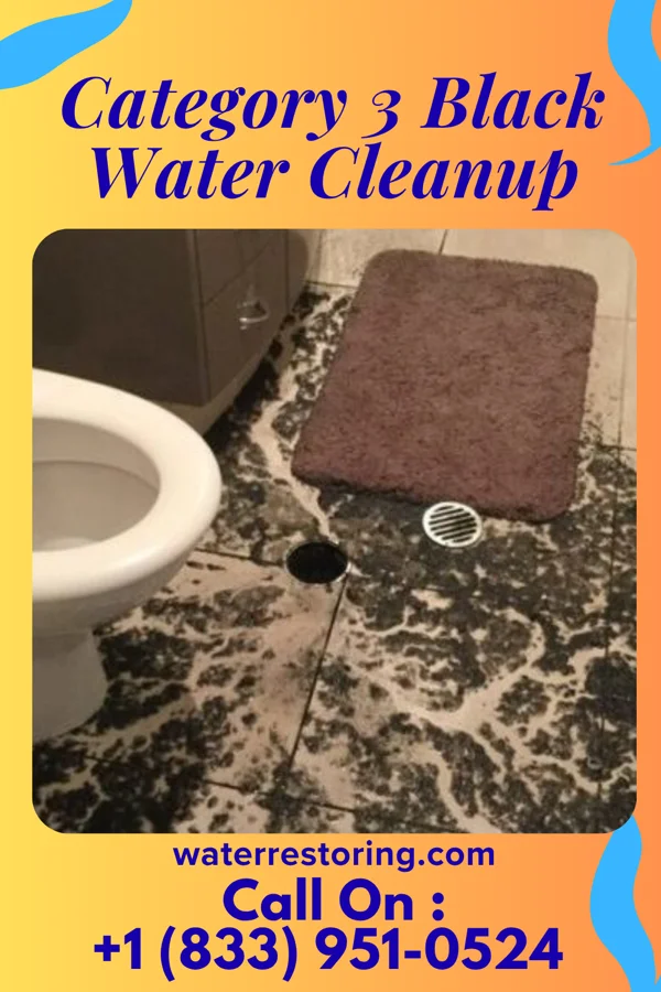 Category 3 Black Water Cleanup in St. Paul, MN