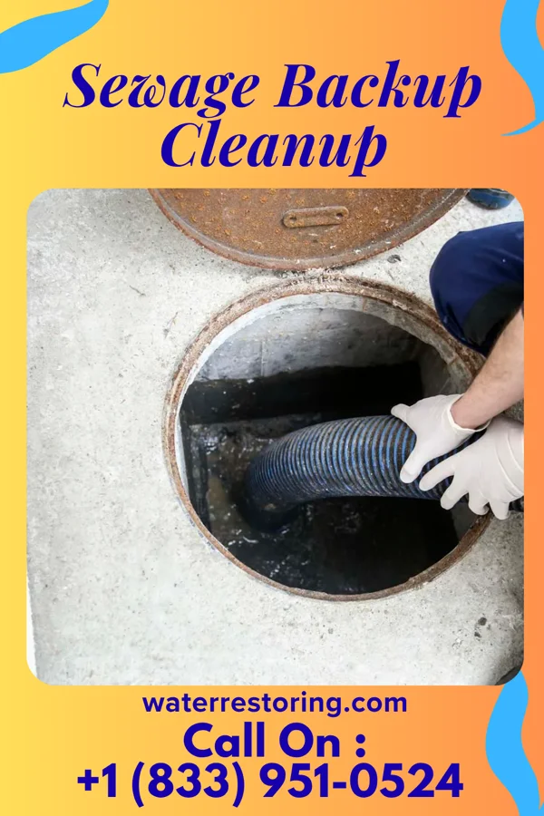 Sewage Backup Cleanup in St. Paul, MN